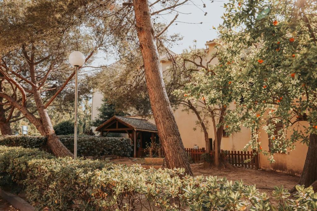 Calvi. T2 2/4 Personnes A 100 Metres De La Plage Apartment Калви Екстериор снимка